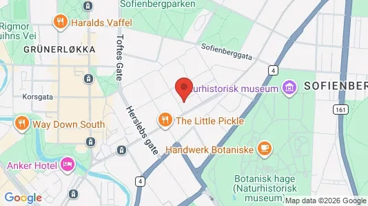 Rooms for rent i Oslo Grünerløkka - kort over placeringen