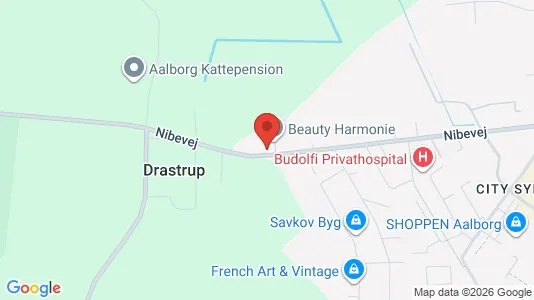 Apartments for rent i Aalborg SV - kort over placeringen