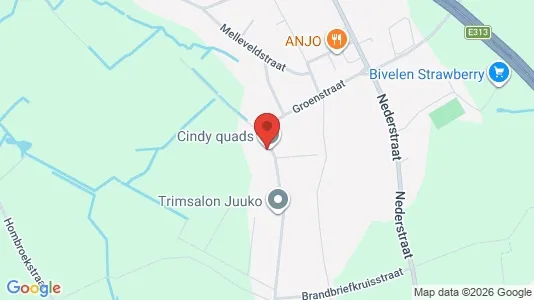 Apartments for rent i Hoeselt - kort over placeringen