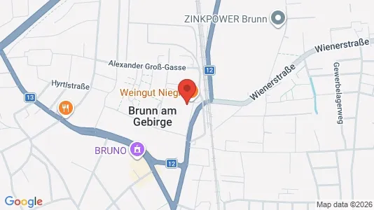 Apartments for rent i Brunn am Gebirge - kort over placeringen
