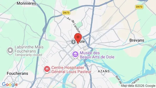 Apartments for rent i Dole - kort over placeringen