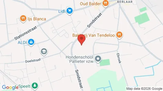 Apartments for rent i Berlaar - kort over placeringen