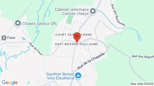 Apartments for rent i Court-Saint-Étienne - kort over placeringen