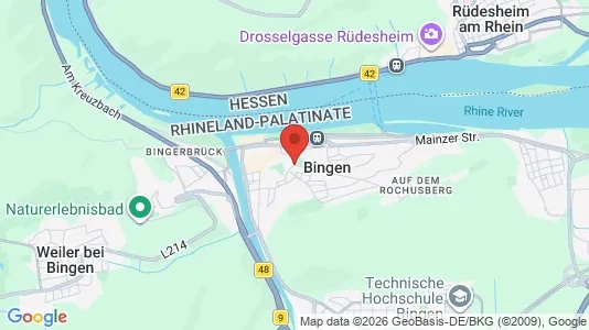 Houses for rent i Mainz-Bingen - kort over placeringen
