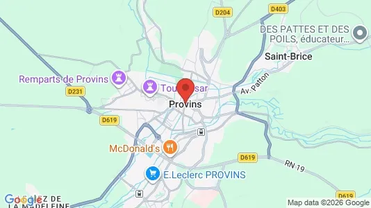 Houses for rent i Provins - kort over placeringen