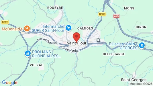 Apartments for rent i Saint-Flour - kort over placeringen