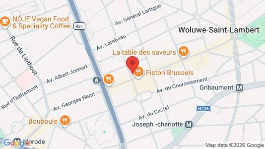 Apartments for rent i Brussels Sint-Lambrechts-Woluwe - kort over placeringen