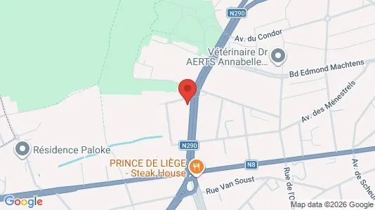 Apartments for rent i Brussels Sint-Jans-Molenbeek - kort over placeringen