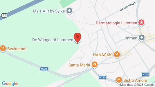 Apartments for rent i Lummen - kort over placeringen