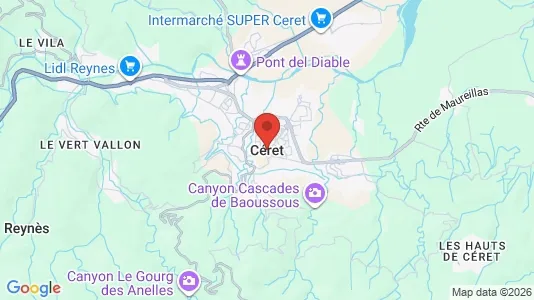 Apartments for rent in Céret - Photo from Google Street View