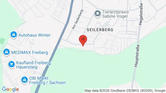Apartments for rent in Central Saxony - Photo from Google Street View