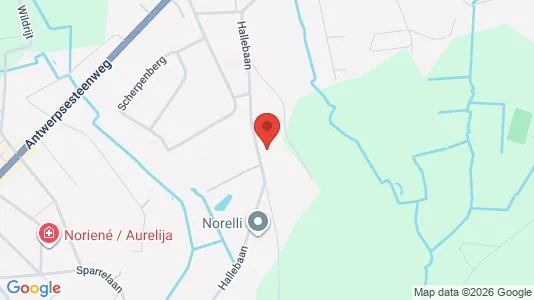 Apartments for rent i Malle - kort over placeringen