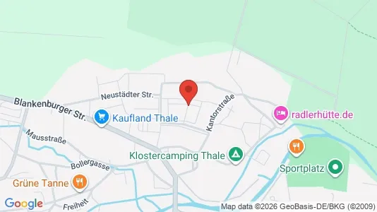 Apartments for rent in Harz - Photo from Google Street View