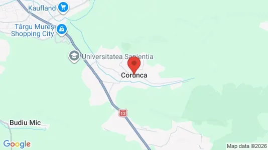 Houses for rent in Corunca - Photo from Google Street View