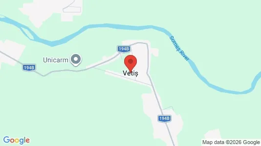 Apartments for rent in Vetiş - Photo from Google Street View