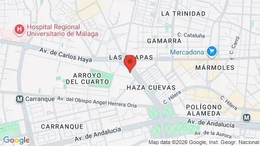 Apartments for rent i Málaga - kort over placeringen