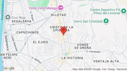 Apartments for rent i Málaga - kort over placeringen