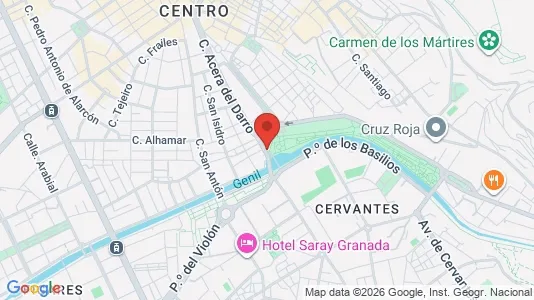 Apartments for rent i Granada - kort over placeringen