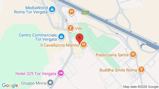 Apartments for rent i Roma Municipio VI – Roma Delle Torri - kort over placeringen