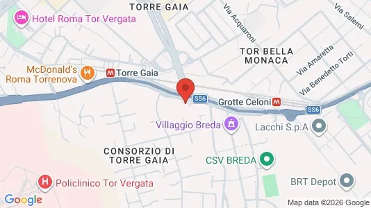 Apartments for rent i Roma Municipio VI – Roma Delle Torri - kort over placeringen
