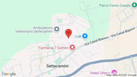 Rooms for rent i Roma Municipio IV – Tiburtino - kort over placeringen