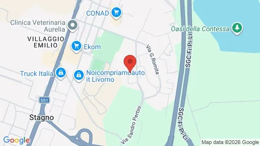 Apartments for rent i Collesalvetti - kort over placeringen