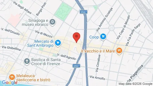 Apartments for rent i Florence - kort over placeringen