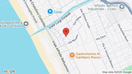 Apartments for rent i Viareggio - kort over placeringen