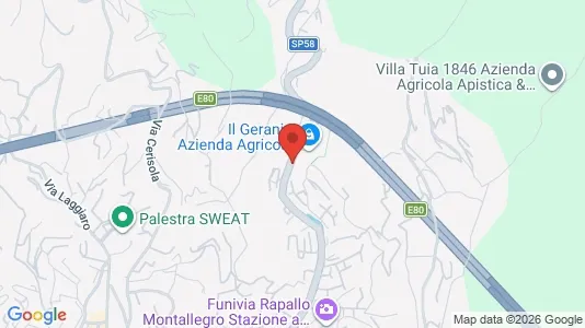 Apartments for rent i Rapallo - kort over placeringen