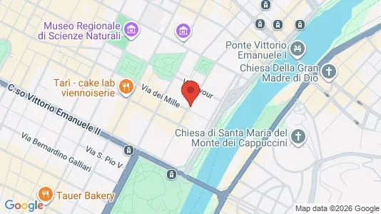 Apartments for rent i Turin - kort over placeringen