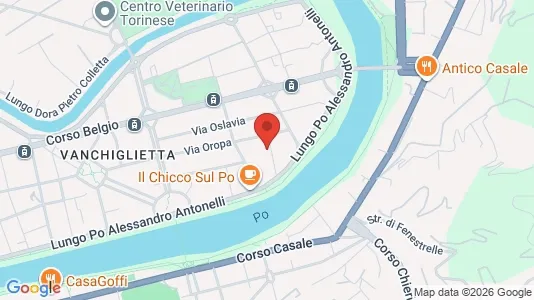 Apartments for rent i Turin - kort over placeringen