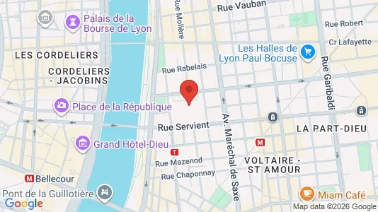 Apartments for rent i Lyon - kort over placeringen