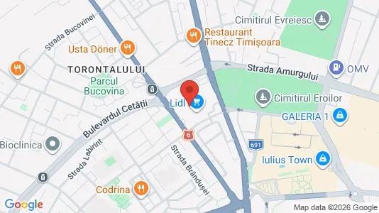 Apartments for rent i Timişoara - kort over placeringen
