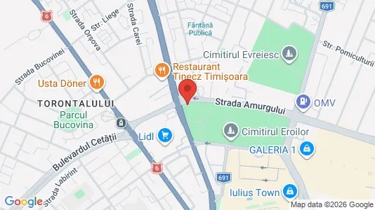 Apartments for rent i Timişoara - kort over placeringen