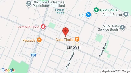 Apartments for rent i Timişoara - kort over placeringen