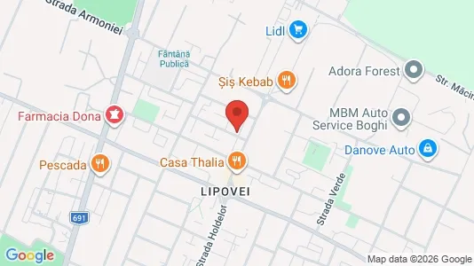 Apartments for rent i Timişoara - kort over placeringen