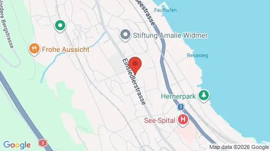 Apartments for rent i Horgen - kort over placeringen