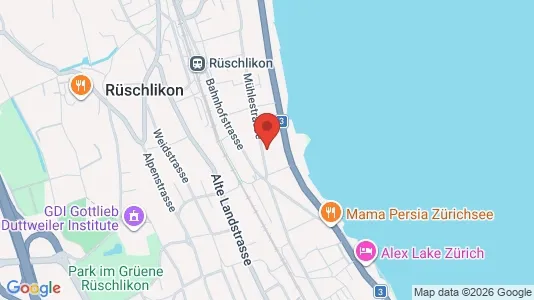 Apartments for rent i Horgen - kort over placeringen