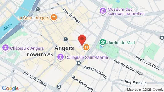 Apartments for rent i Angers - kort over placeringen