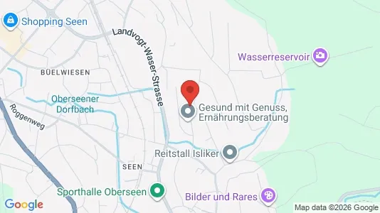 Apartments for rent i Winterthur - kort over placeringen
