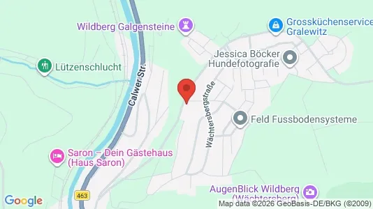 Apartments for rent i Calw - kort over placeringen