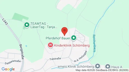 Apartments for rent i Calw - kort over placeringen