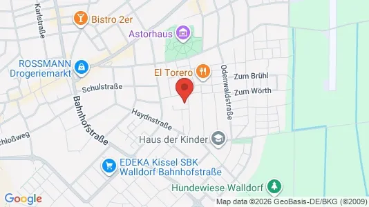 Apartments for rent i Rhein-Neckar-Kreis - kort over placeringen
