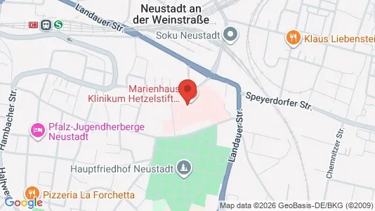 Apartments for rent i Neustadt an der Weinstraße - kort over placeringen