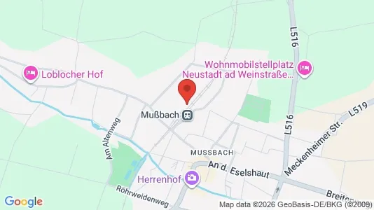 Apartments for rent i Neustadt an der Weinstraße - kort over placeringen