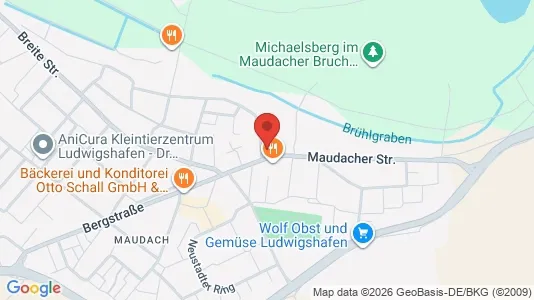 Apartments for rent i Ludwigshafen am Rhein - kort over placeringen
