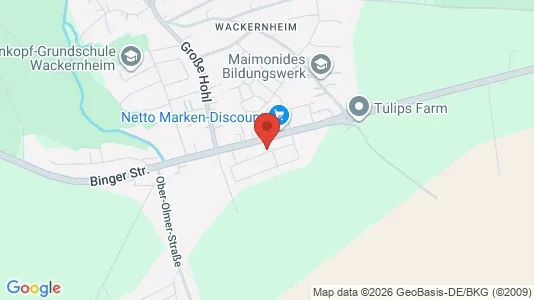 Apartments for rent i Mainz-Bingen - kort over placeringen