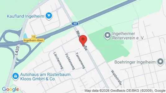 Apartments for rent i Mainz-Bingen - kort over placeringen