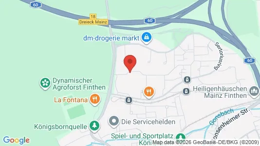 Apartments for rent i Mainz - kort over placeringen