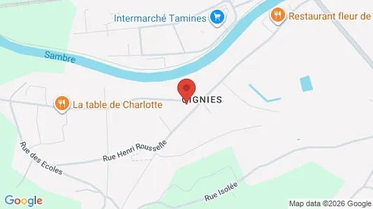 Apartments for rent i Aiseau-Presles - kort over placeringen